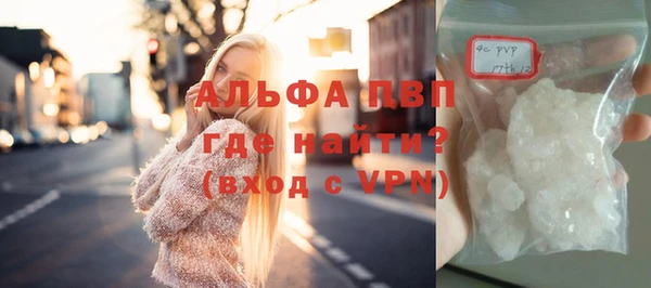 индика Алексин