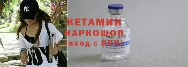 индика Алексин