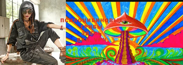 индика Алексин