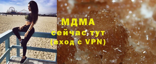 индика Алексин