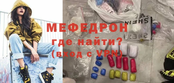 индика Алексин