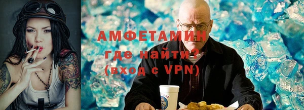 индика Алексин