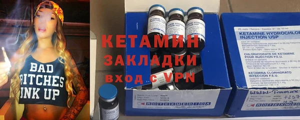 индика Алексин