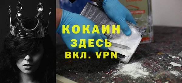 индика Алексин